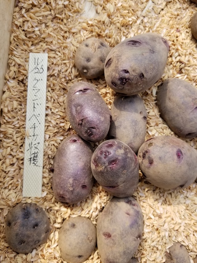 20200229_110840-2268x3024