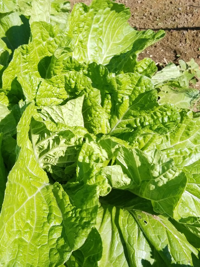 IMG_20231021_102419_copy_1512x2016