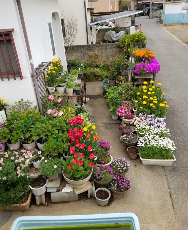 20190414_120156-2268x3024