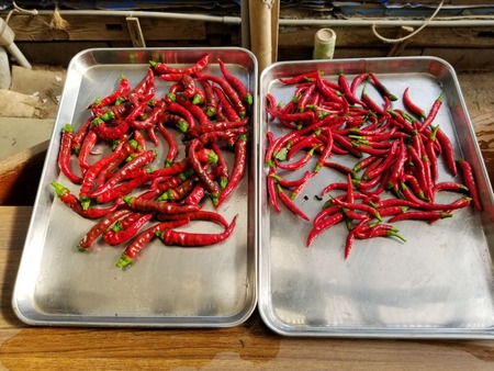 20190829_083234-2160x1620