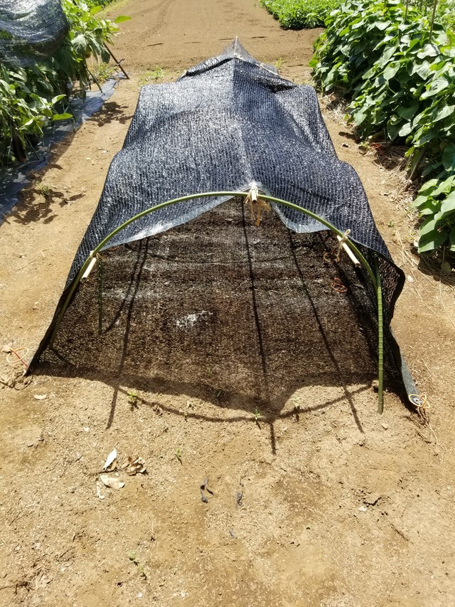 20230812_111419_copy_1512x2016