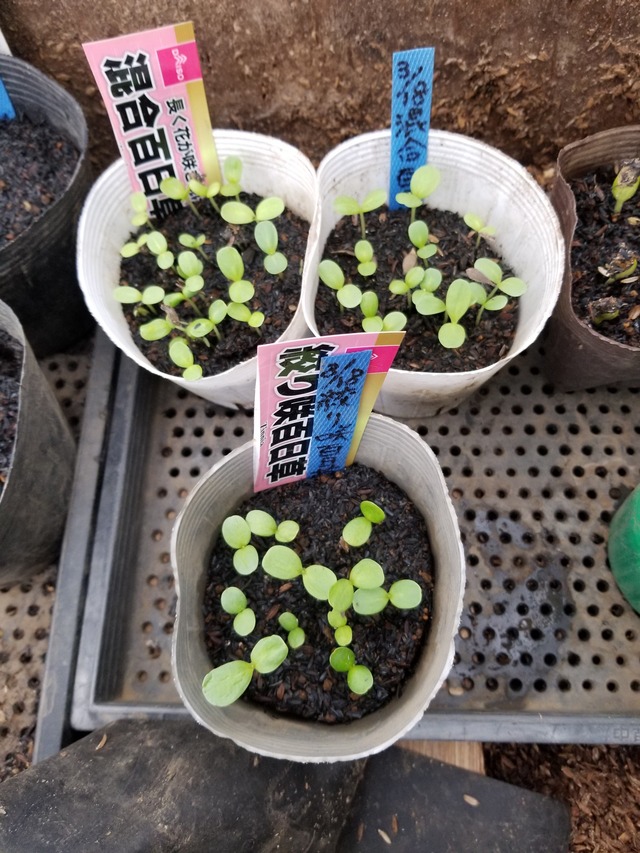 20240326_150719_copy_2268x3024