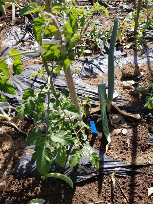 20230510_082539_copy_1512x2016