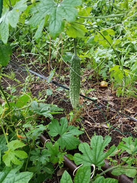 20190704_092701-1620x2160