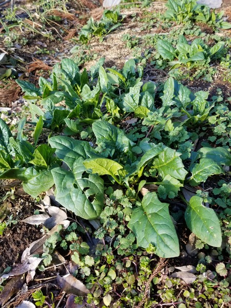 20200110_084049-2268x3024