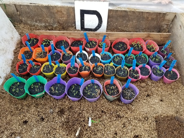 20240214_101701_copy_3024x2268