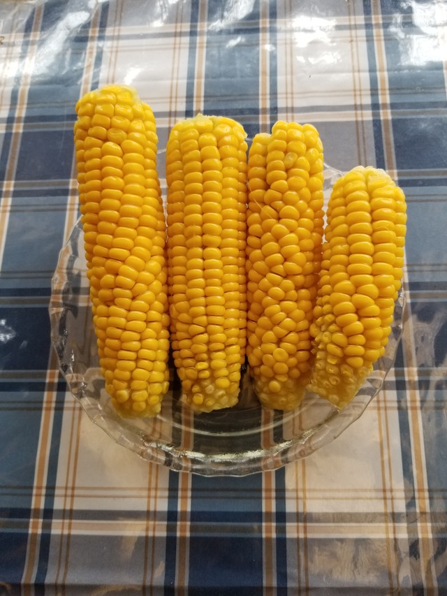 20230530_103949_copy_2268x3024