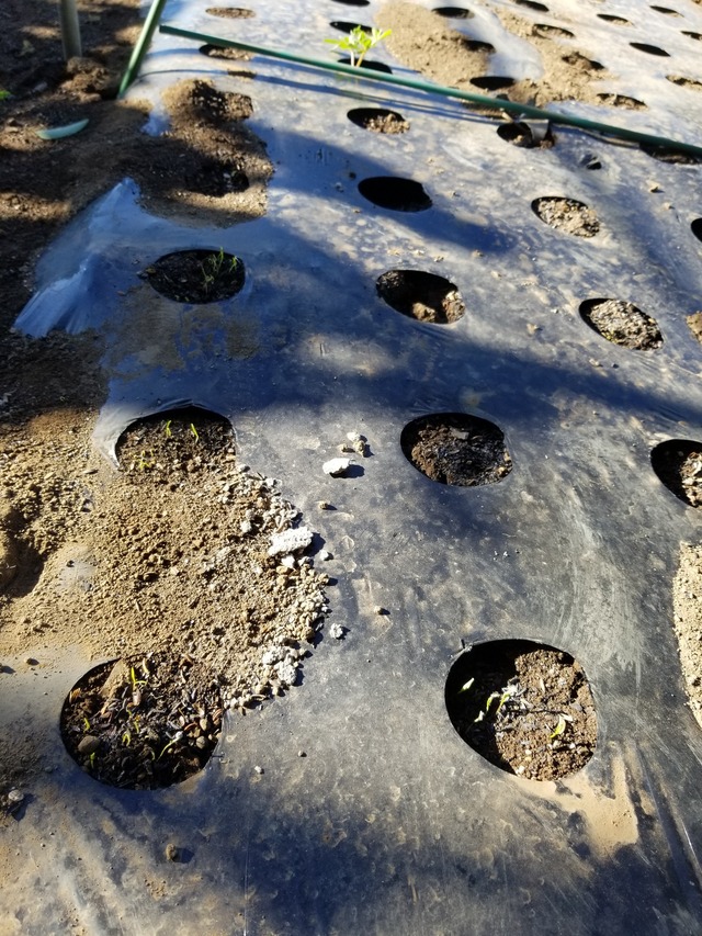 20230826_071400_copy_1512x2016