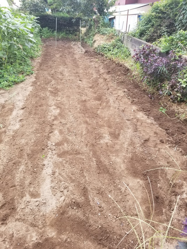 20220829_144323_copy_1512x2016