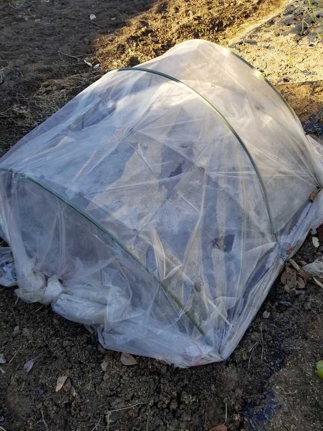 20230104_084752_copy_2268x3024