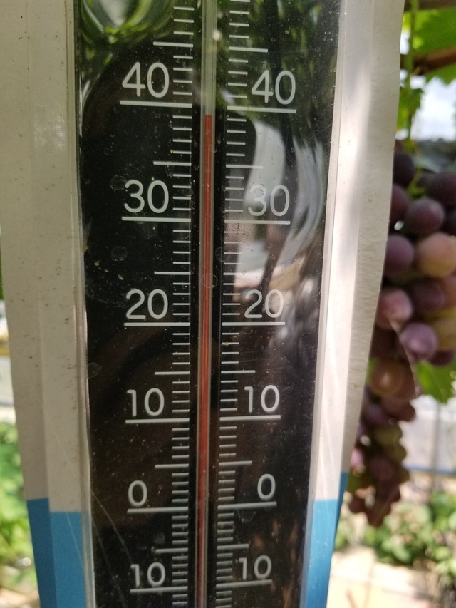 20230728_110530_copy_1512x2016