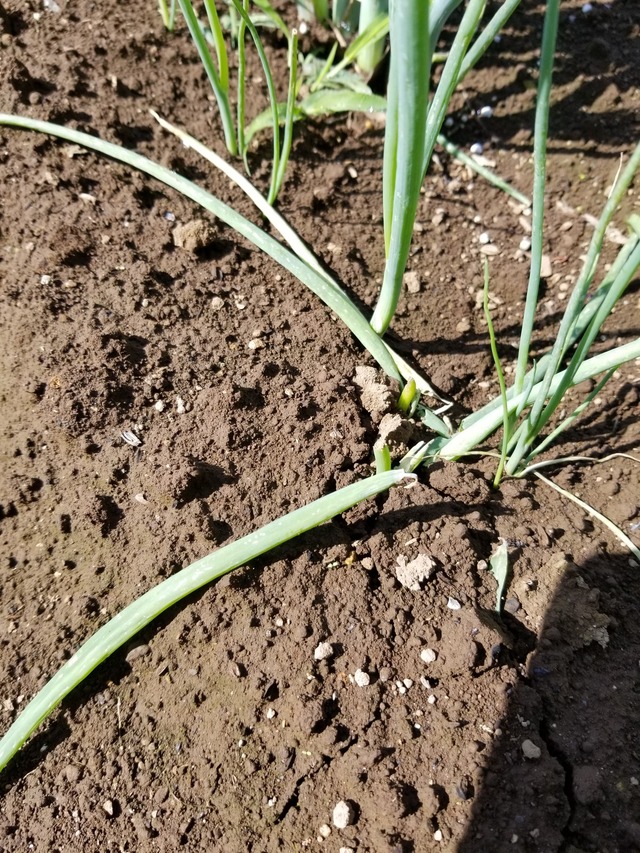 20230601_085009_copy_1512x2016