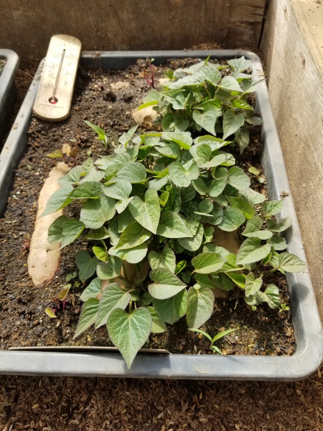 20240322_113721_copy_2268x3024