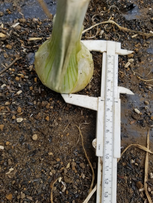 20240209_103349_copy_2268x3024_1