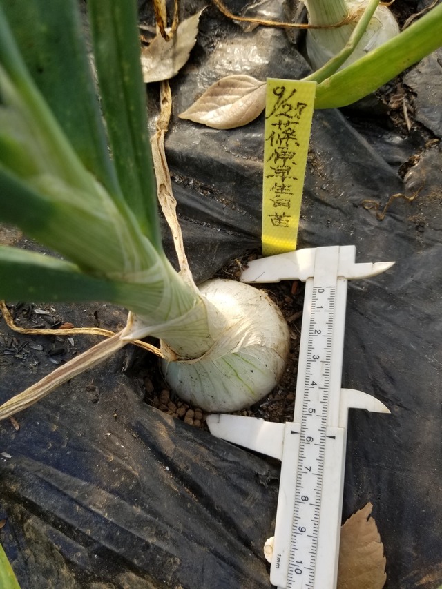 20231210_145147_copy_1512x2016