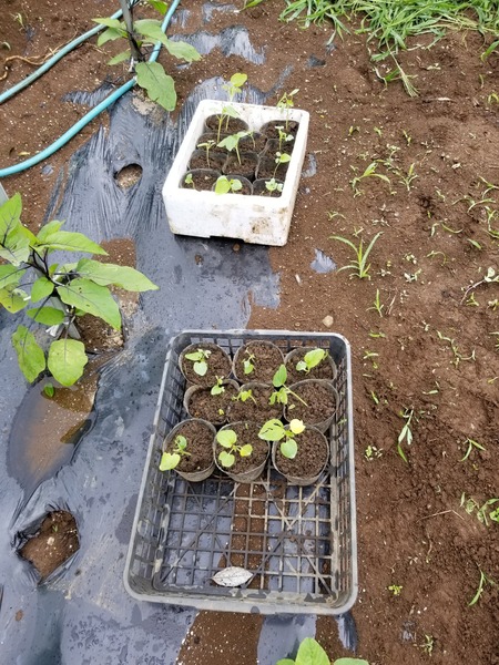 20190706_102044-1620x2160