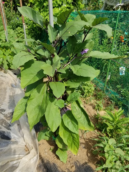 20190807_083321-1620x2160