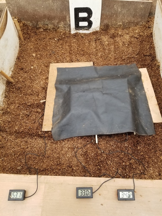 20240121_134718_copy_1512x2016