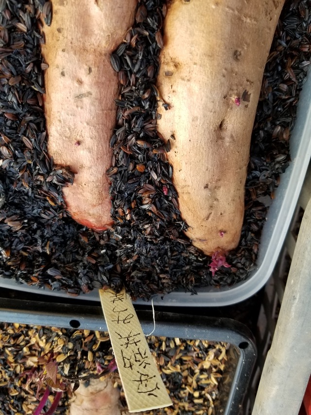 20200223_163402-2268x3024