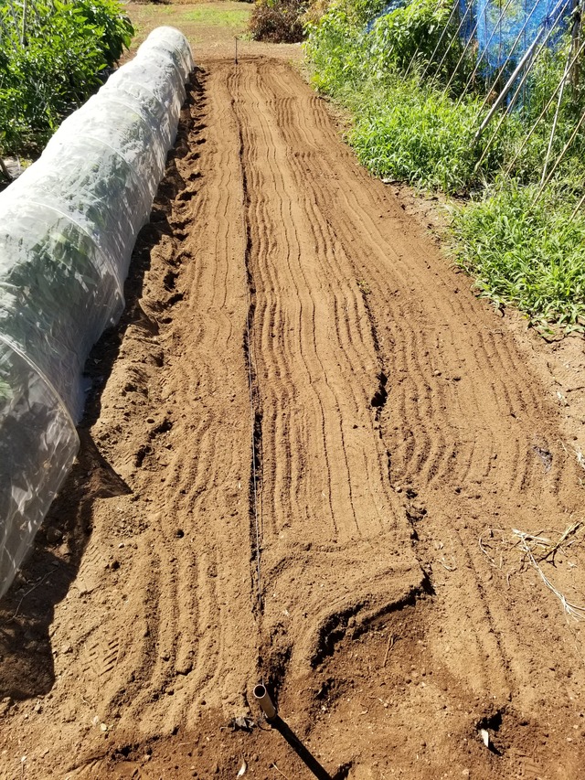 20210806_092713_copy_2268x3024