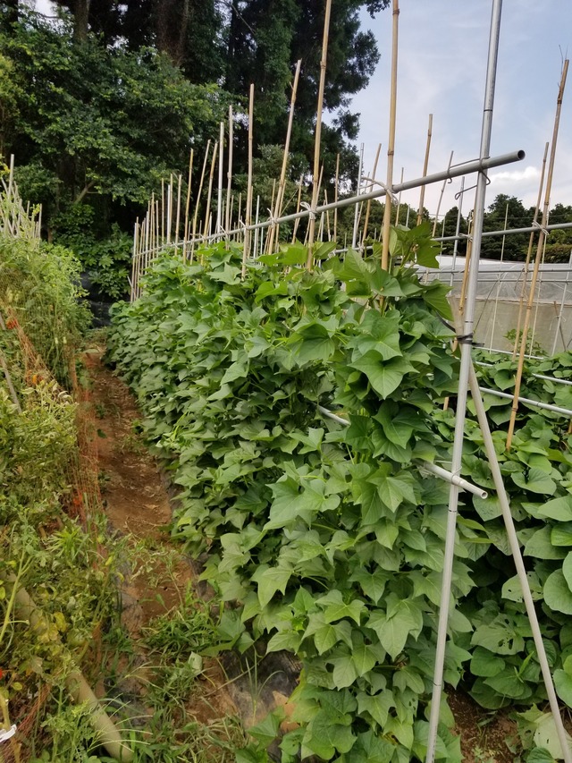 20220721_140330_copy_1512x2016