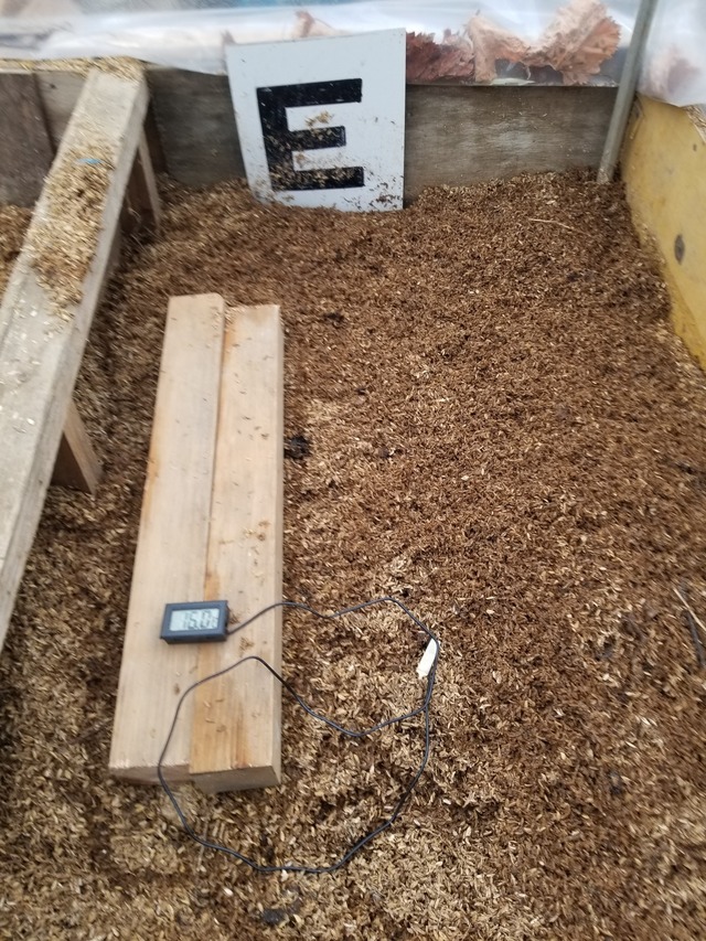 20231228_101506_copy_1512x2016