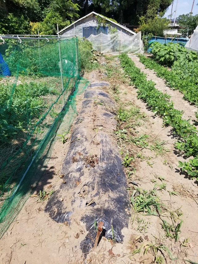 20230711_094226_copy_1512x2016