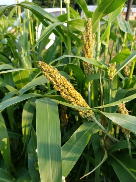 20190730_172215-1620x2160