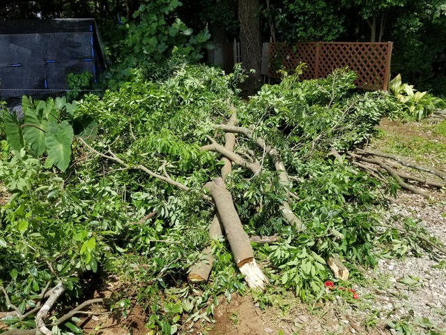 20230527_102203_copy_2016x1512_1