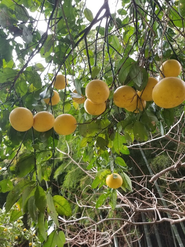 20240103_100617_copy_1512x2016