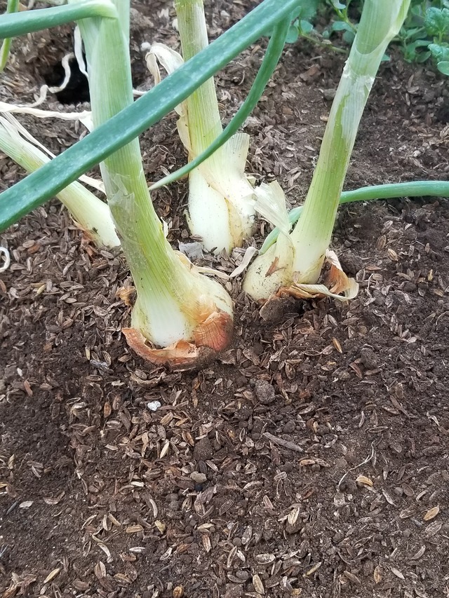 20230110_084317_copy_1512x2016