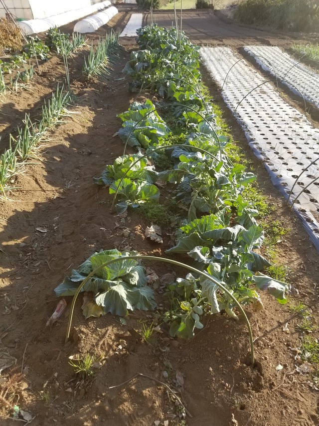 20201226_150939_copy_2268x3024