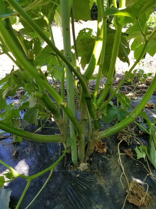 20210725_143659_copy_2268x3024