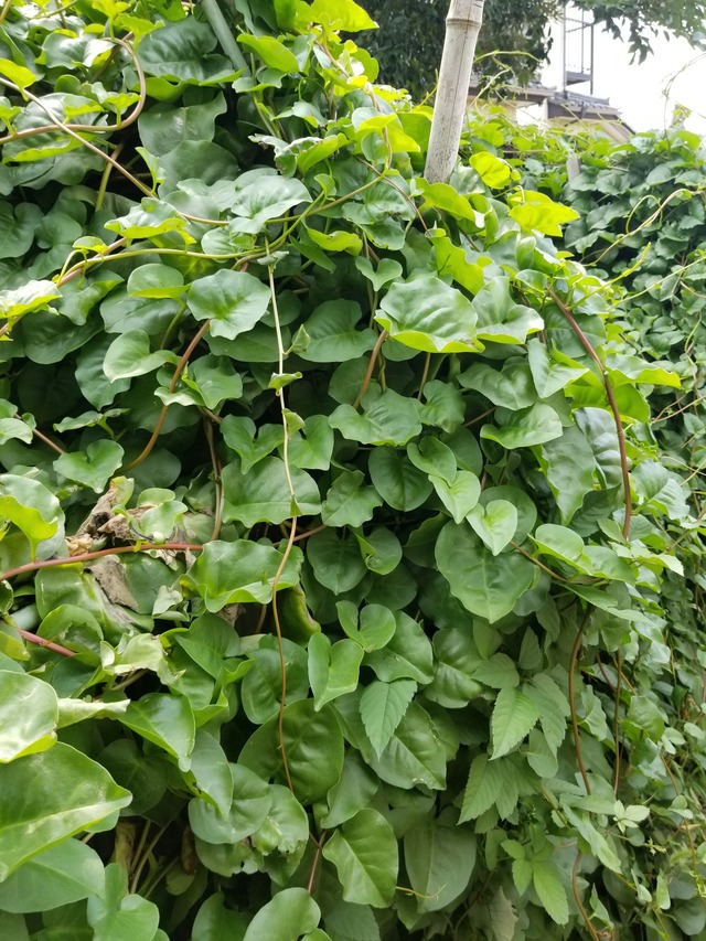 20230719_092835_copy_1512x2016