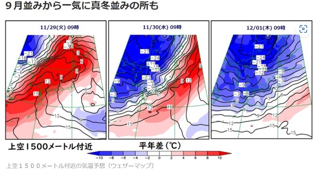 1010植え付け