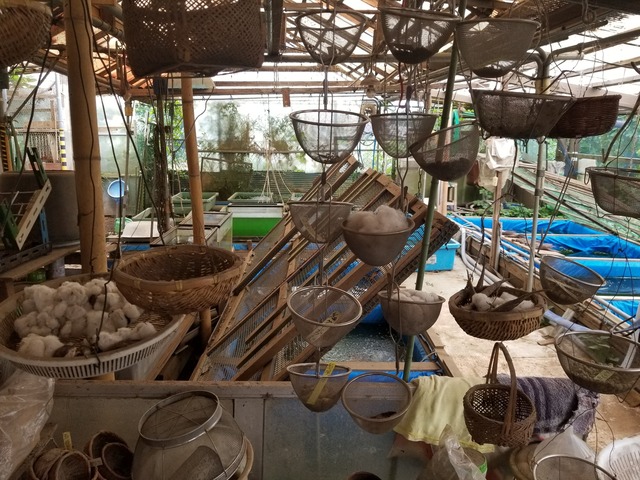 20200708_074953_copy_2268x1701