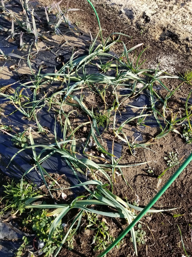 20211230_091343_copy_2268x3024