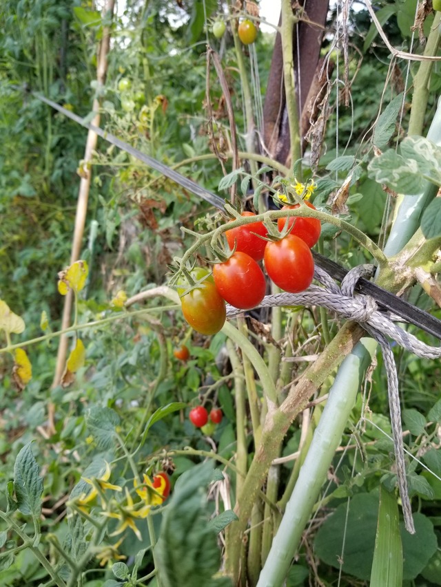 20210803_084208_copy_2268x3024