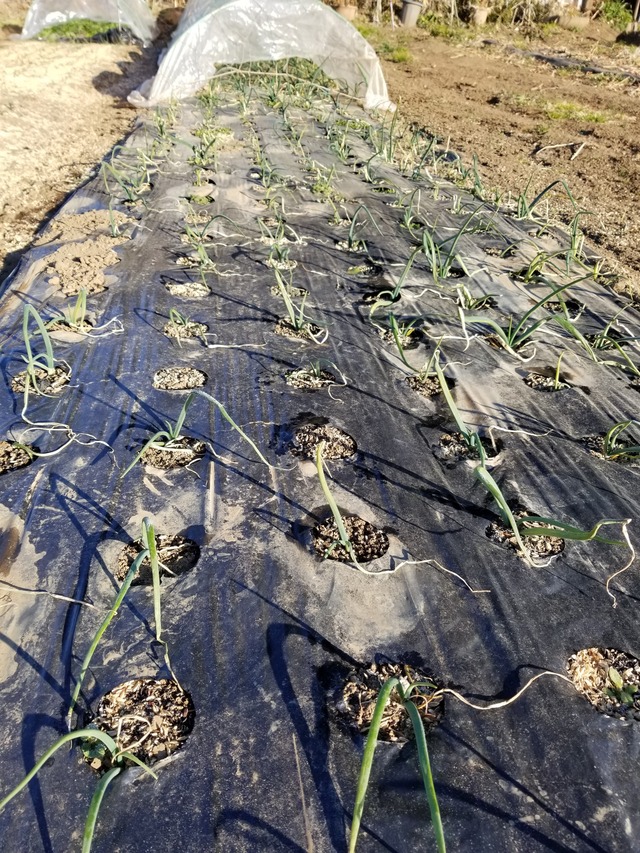 20220120_084315_copy_2268x3024