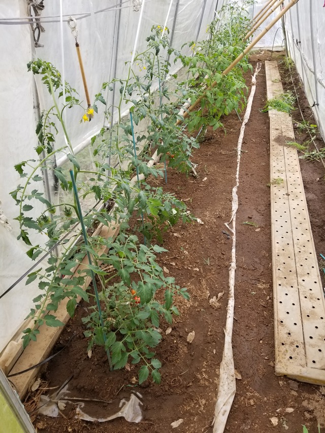 20210605_114606_copy_2268x3024