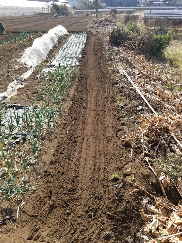 20240215_104032_copy_2268x3024