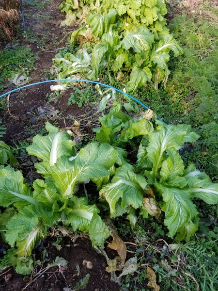 20200110_083938-2268x3024