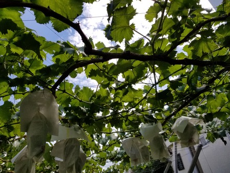 20190728_135117-2160x1620