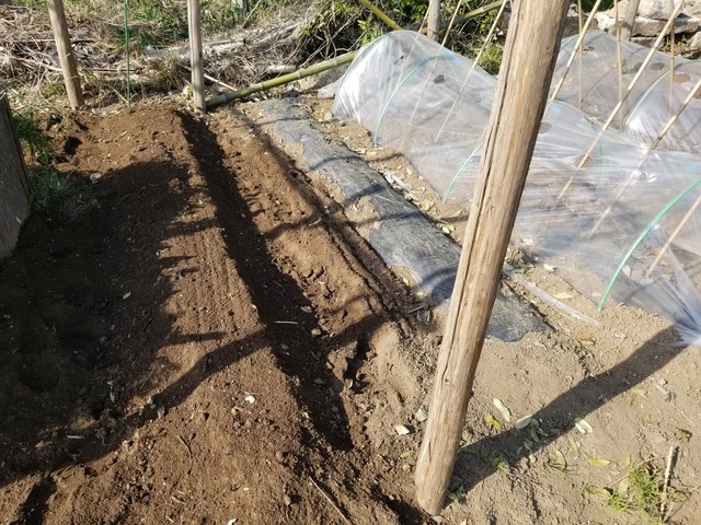 20230404_152353_copy_2016x1512