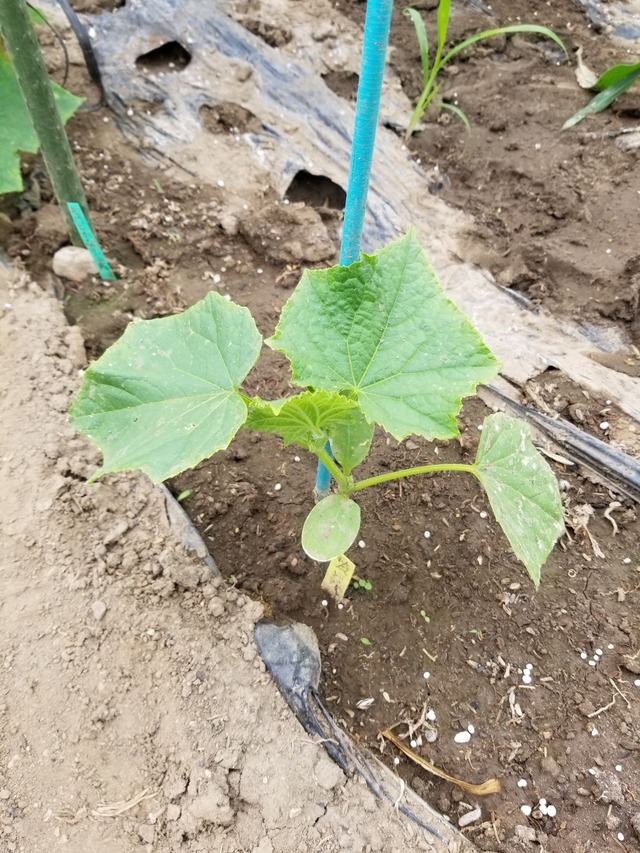 20230513_144111_copy_1512x2016