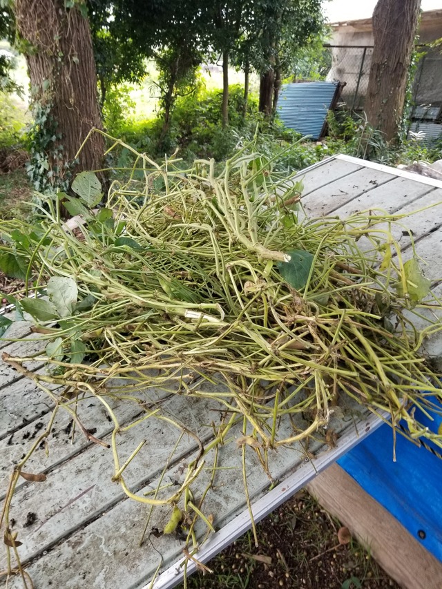 20221024_150607_copy_1512x2016