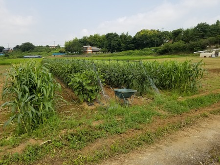 20190731_093201-2160x1620