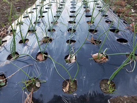 20191227_151121-3024x2268