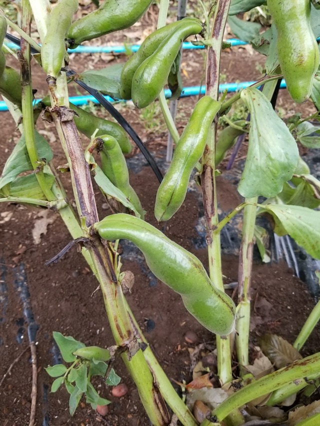 20230430_081013_copy_1512x2016