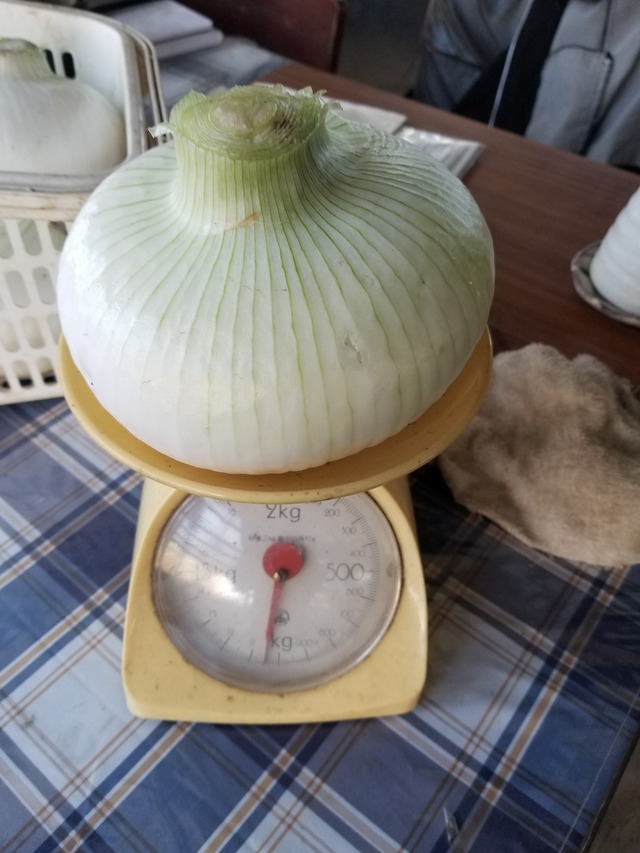 20240322_112034_copy_2268x3024